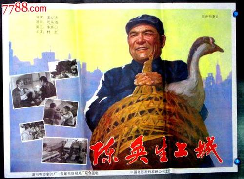 冰岛驾照样本资料